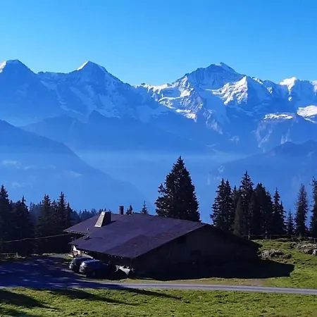 Lilo Big View By Interhome Beatenberg