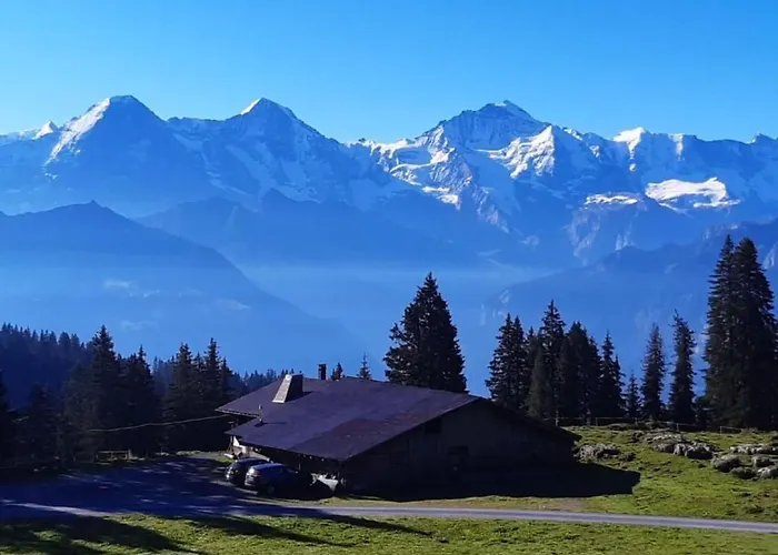 Lilo Big View By Interhome Beatenberg